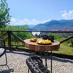 Relax *