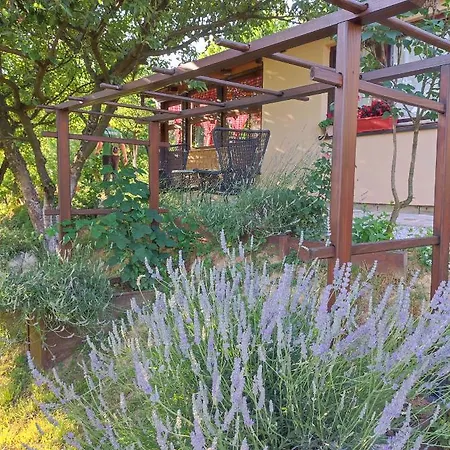 Relax Сasa de vacaciones *