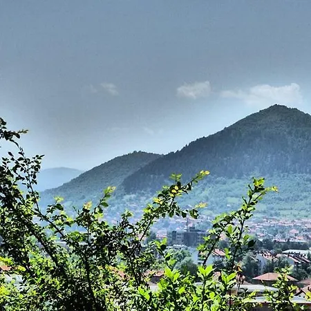 Relax * Visoko